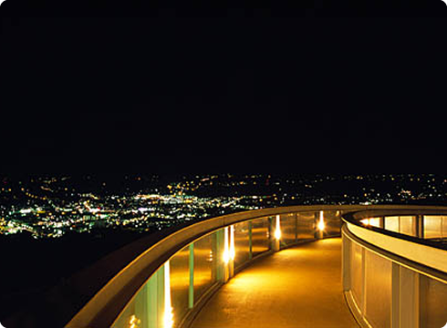 展望台からの夜景