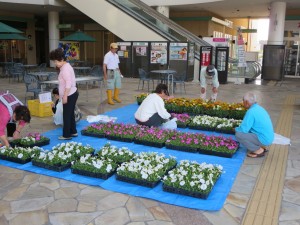 新フラワーポット事業